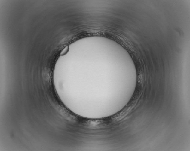 X0000111190662200907221110