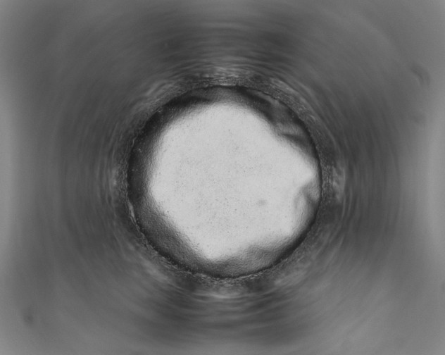 X0000111190663200907221110