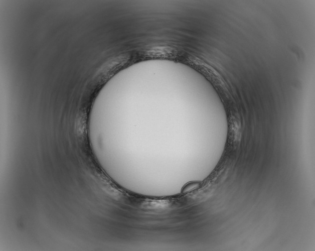 X0000111190665200907221110