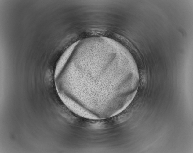 X0000111190667200907221110