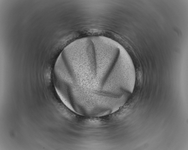 X0000111190668200907221110