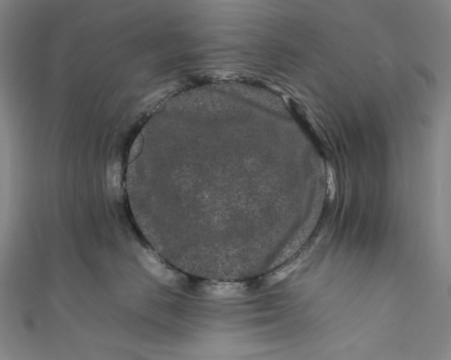 X0000111190670200907221110