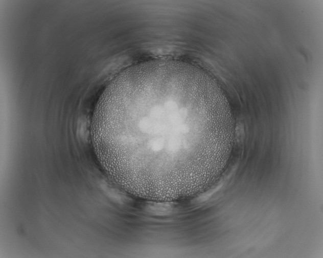 X0000111190671200907221110