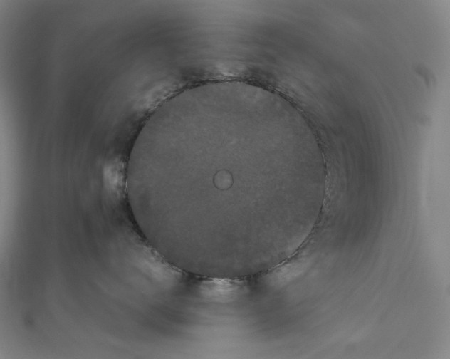 X0000111190672200907221110