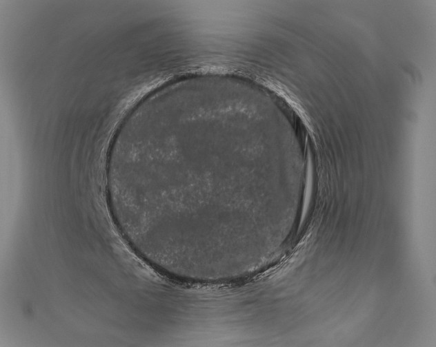 X0000111190673200907221110