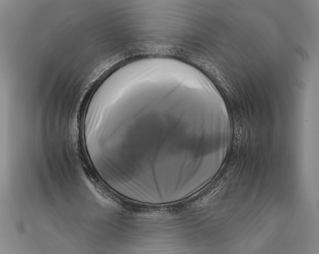 X0000111190674200907221110