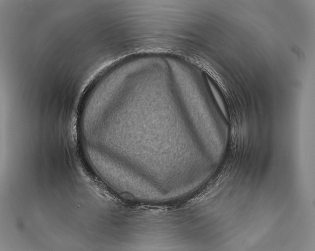 X0000111190676200907221110