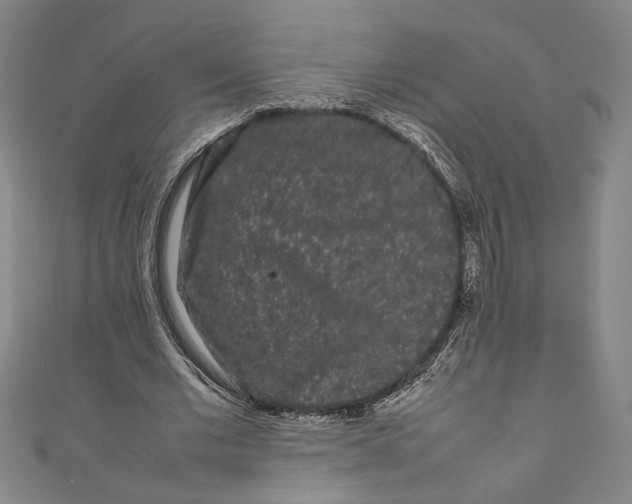 X0000111190677200907221110