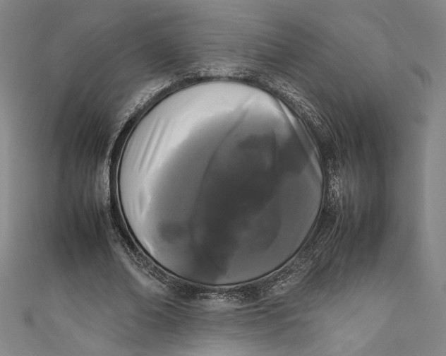 X0000111190678200907221110