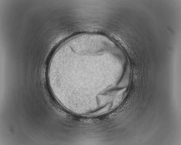 X0000111190679200907221110