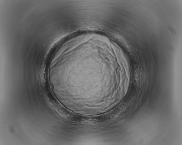 X0000111190680200907221110