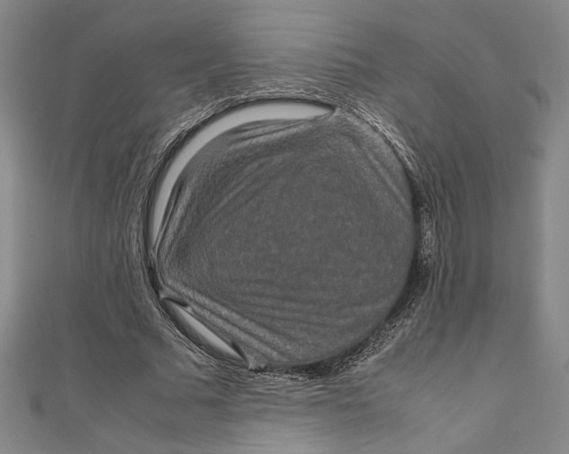 X0000111190681200907221110