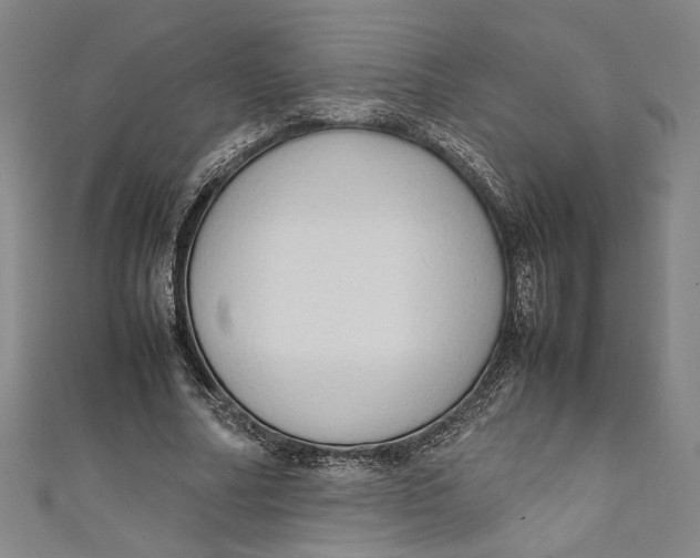 X0000111190682200907221110