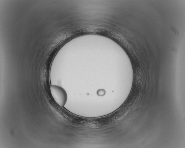 X0000111190683200907221110