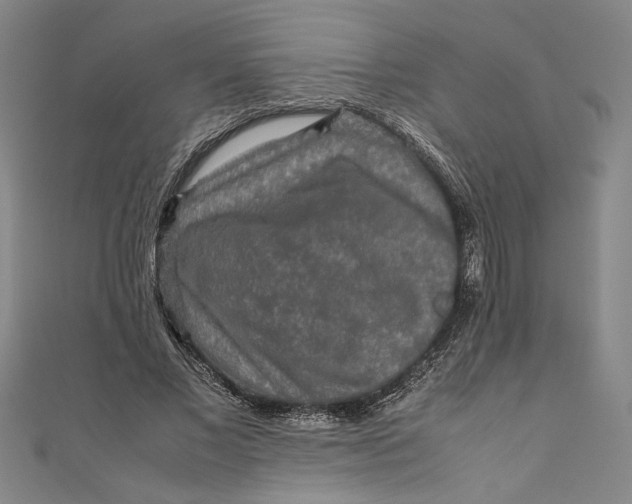 X0000111190685200907221110