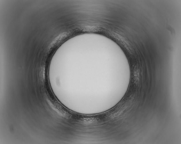 X0000111190686200907221110