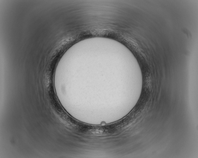 X0000111190687200907221110