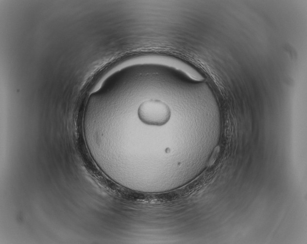 X0000111190688200907221110