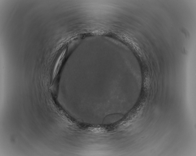 X0000111190689200907221110