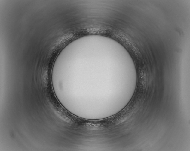 X0000111190690200907221110