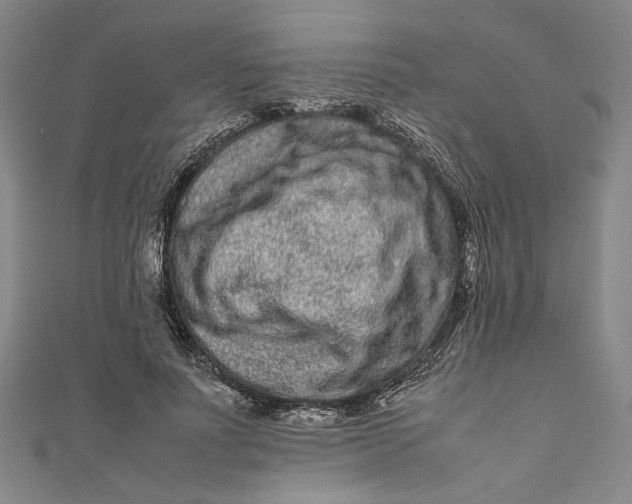 X0000111190691200907221110