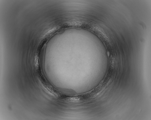 X0000111190692200907221110