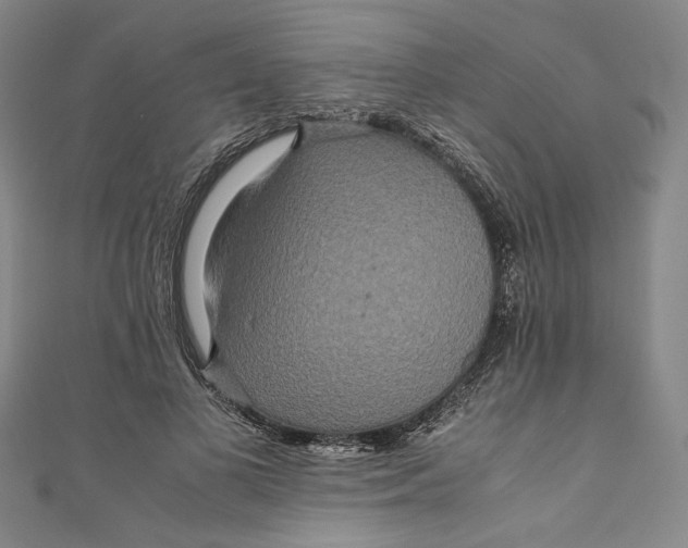 X0000111190693200907221109