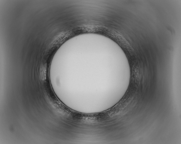 X0000111190694200907221109