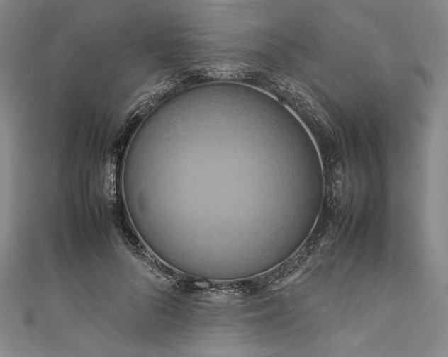 X0000111190696200907221109