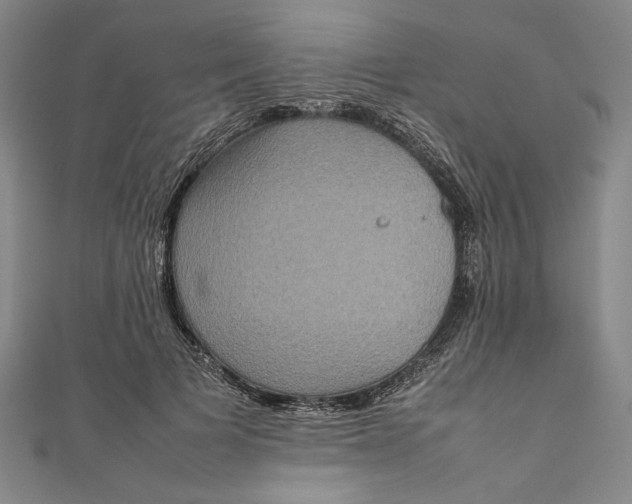 X0000111190697200907221109