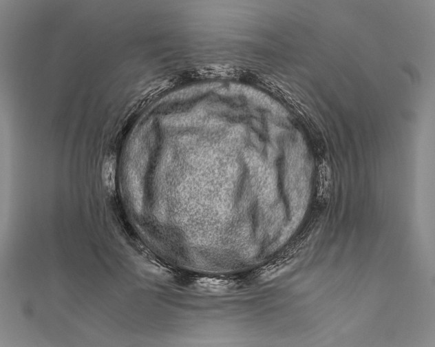 X0000111190699200907221109