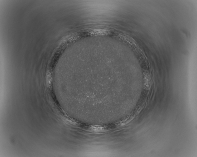 X0000111190701200907221109