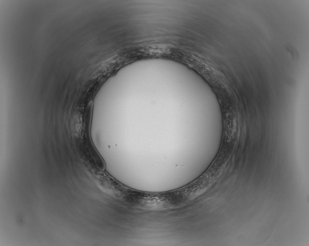 X0000111190704200907221109