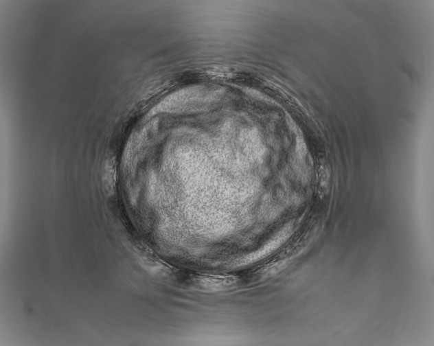 X0000111190707200907221109