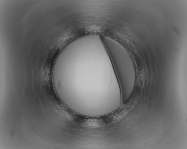 X0000111190708200907221109