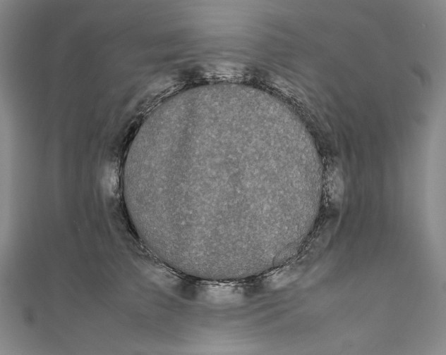 X0000111190709200907221109