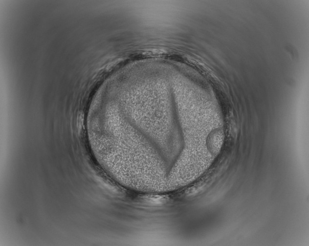 X0000111190711200907221109