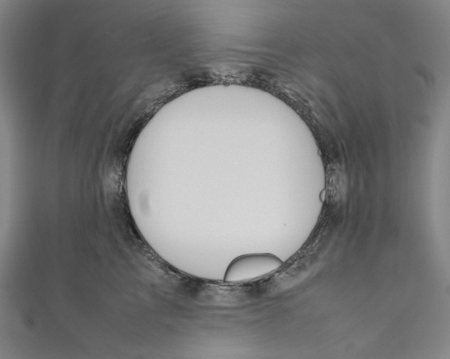 X0000111190713200907221109