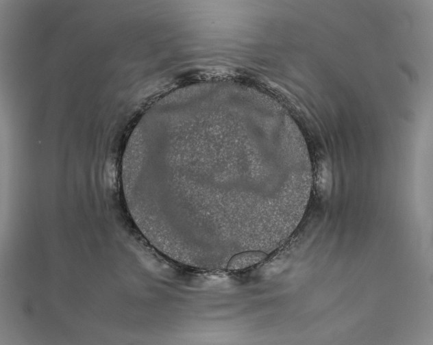 X0000111190715200907221109