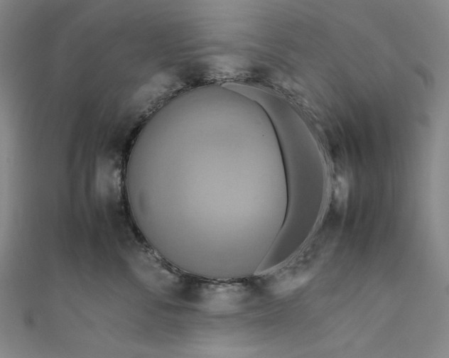 X0000111190716200907221109