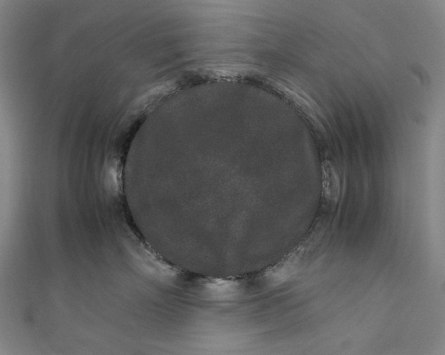 X0000111190718200907221109