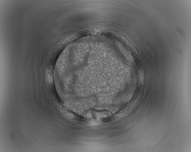 X0000111190719200907221109