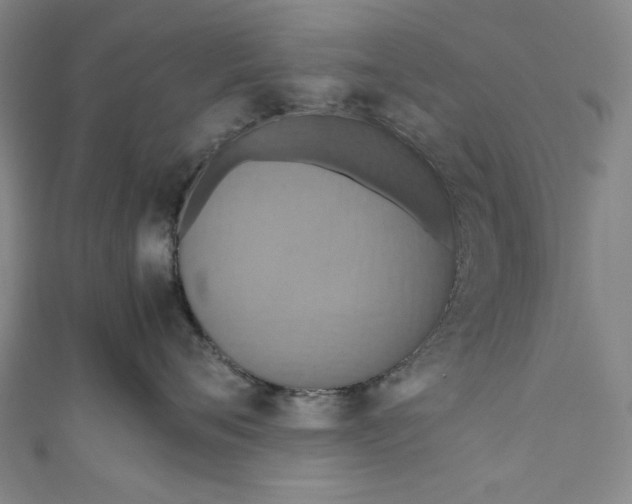 X0000111190720200907221109