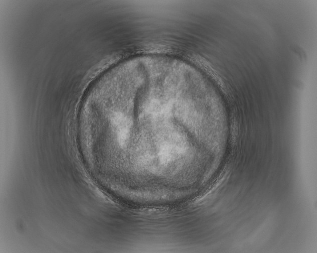 X0000111190721200907221109