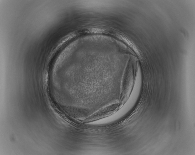 X0000111190722200907221109