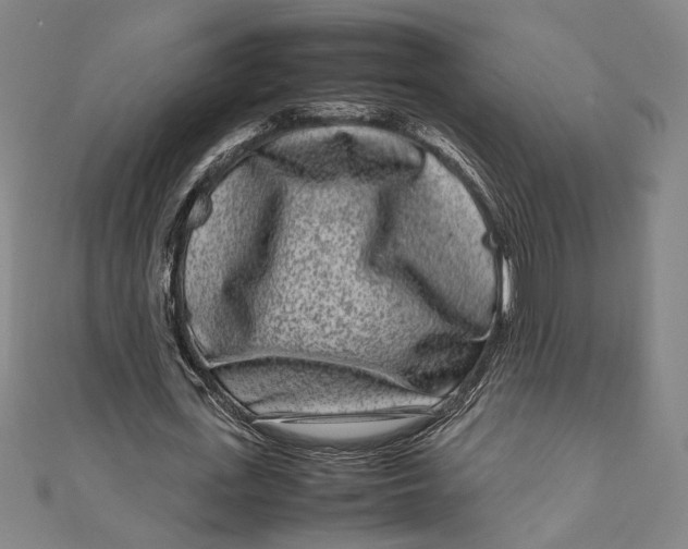 X0000111190723200907221109