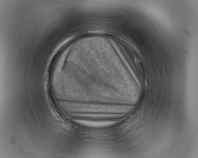 X0000111190724200907221109