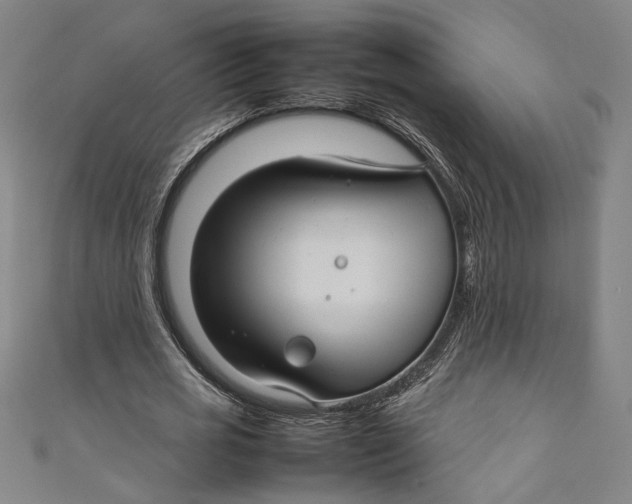 X0000111190725200907221109