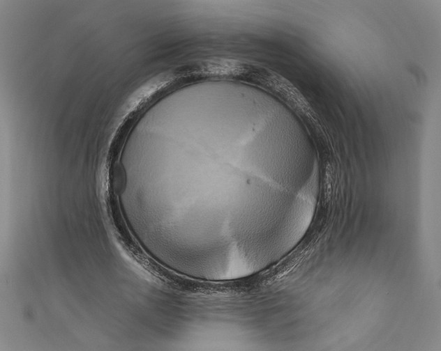 X0000111190726200907221109