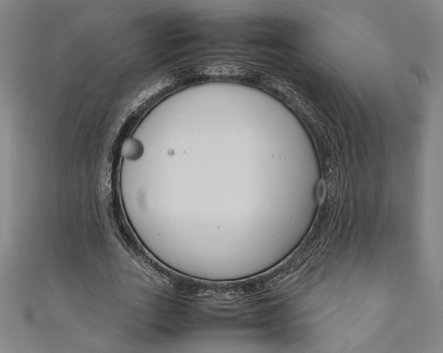 X0000111190727200907221109